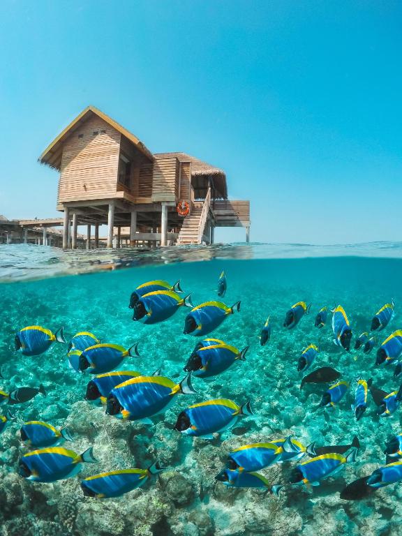Vakkaru Maldives 7 Days Tour Package